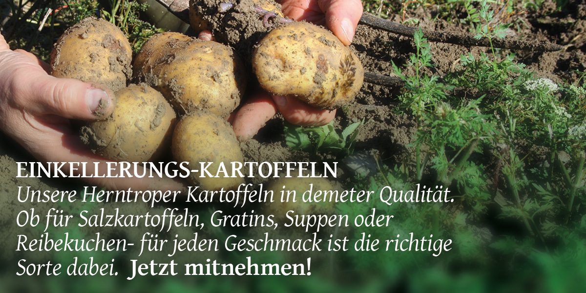 kartoffeln